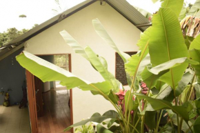 Casita Tangara